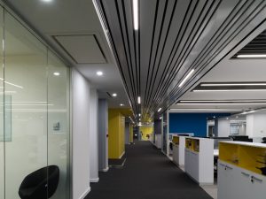 Nouraneh_Phoenix-098