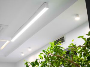 Novin_tek_Nooraneh_lighting (7)
