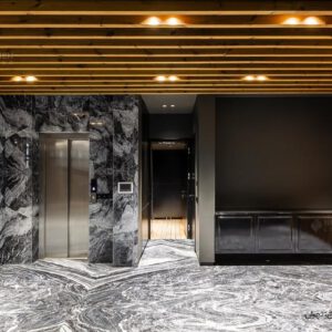 نورانه-پروژه-فشن-تهران-ویلا-نورپردازی-تریمو