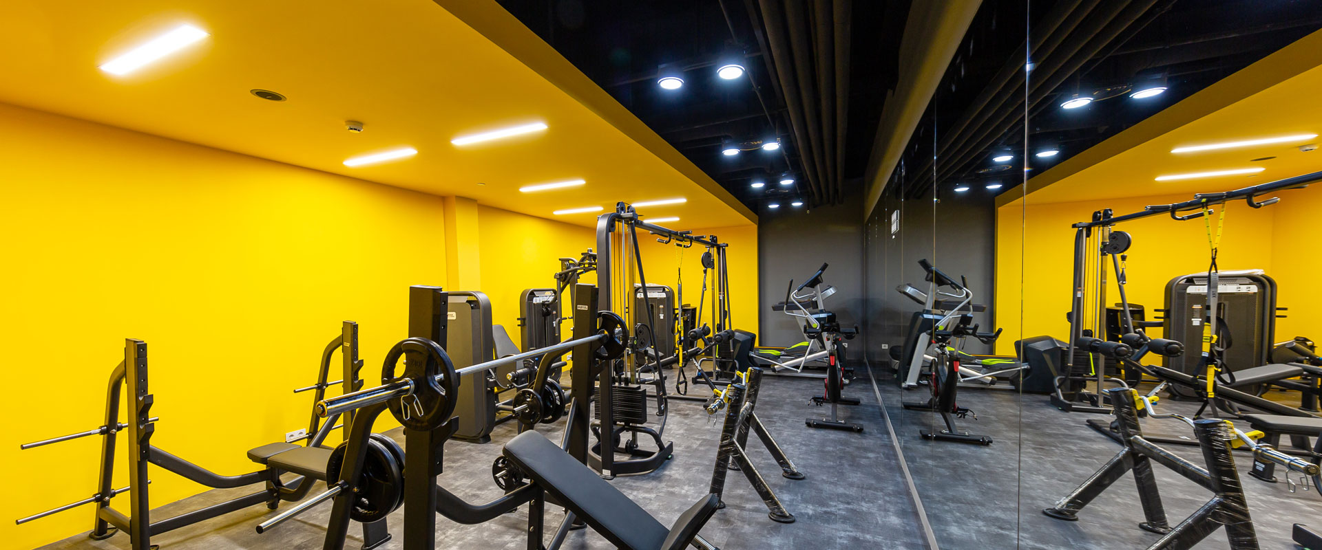 نورپردازی باشگاه بدنسازی