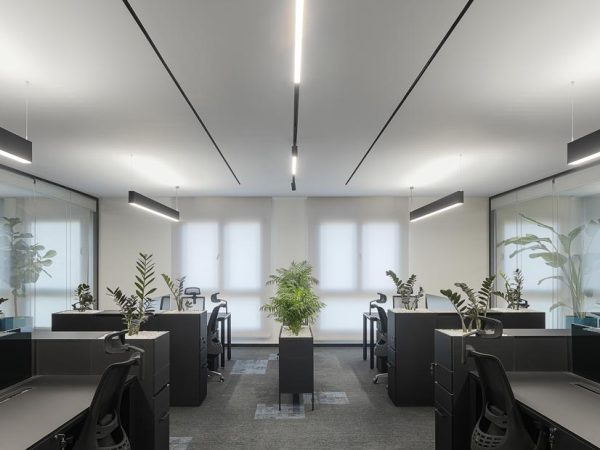 نورپردازی ساختمان اداری شرکت نماد تجارت شالی